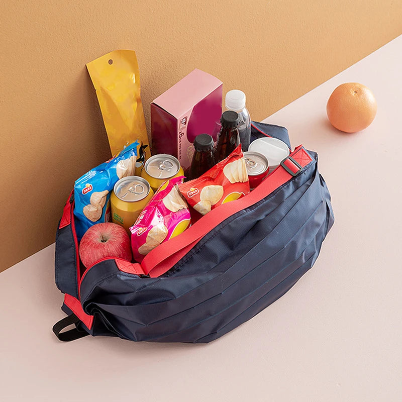 Foldable Storage Bag